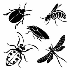 Black insect silhouettes beetle moth dragonfly ladybug