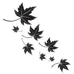 Black maple leaves falling leaves autumn