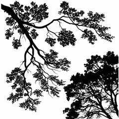 Naklejka premium Black tree branches and foliage silhouettes leaves