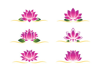 Pink lotus flowers with green leaves set