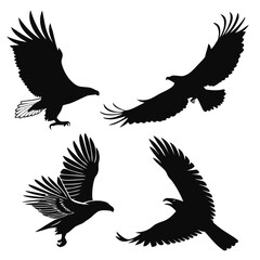 Four black eagle silhouettes in flight bird flying