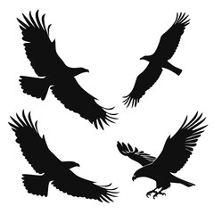Four black eagle silhouettes in flight flying diving