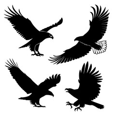 Four black eagles in flight silhouette flying