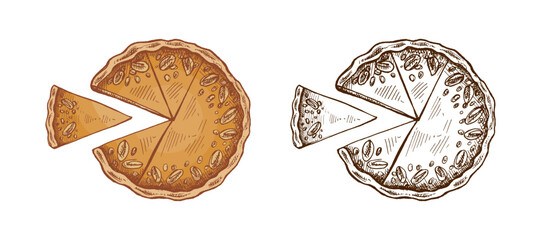 Hand drawn vintage sketch of whole round pie with nuts and one slice in color and monochrome version