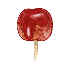 Hand drawn vintage sketch of caramel candied apple on wooden stick isolated in red color sweet dessert illustration