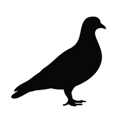 Isolated black pigeon silhouette vector illustration standing pigeon bird clip art design element animal
