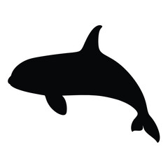 Isolated killer whale vector art, orca silhouette graphic, marine mammal illustration, black and white design © black man