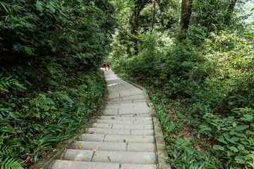 Obraz premium hiking the sacred stairs, Emeishan, Leshan Prefecture, Sichuan, People's Republic of China, Asia