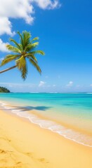 Fototapeta premium Beach and palm trees, summer, seaside vacation, tan, ocean. Golden sandy beach, clear water, vacation, advertising, banner. High quality