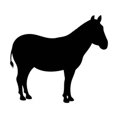 Isolated black silhouette of a horse standing equine mammal animal vector illustration art design graphic