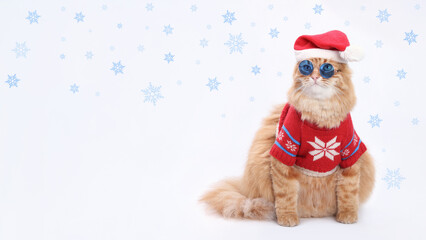 Funny ginger cat in Santa hat and sweater with snowflakes, winter holiday portrait, Christmas and New Year celebration, festive pet concept, greeting card, isolated on white, studio photo