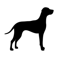 Find a black dog silhouette vector graphic for your design needs featuring a sleek canine outline
