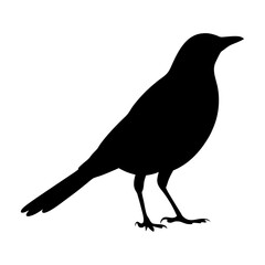 Black bird silhouette vector illustration of a songbird perched standing isolated design element for art