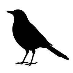 Obraz premium Download black bird silhouette vector image graphic illustration free high resolution design asset