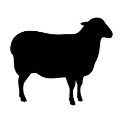 Sheep silhouette vector art farm animal illustration livestock graphic ewe lamb design woolly mammal