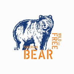 bear Silhouette doodle art hand drawn illustration vector outline graphic vector