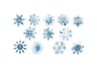Beautiful snowflakes set, intricate icy patterns isolated PNG ve