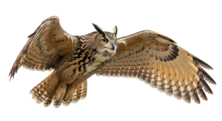 Fotobehang Uil Isolated Owl  © Maria