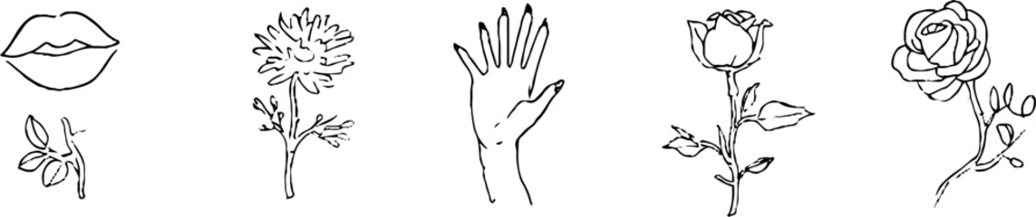 Obraz premium Minimalist line art collection featuring romantic portraits, lips, flowers, hands, and roses