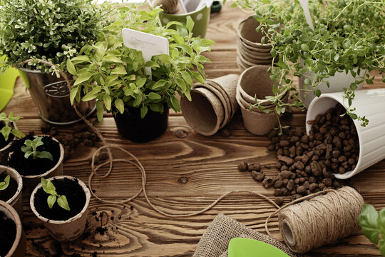 planting tools on the rustic wooden garden table