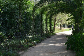 Pergola végétale au jardin