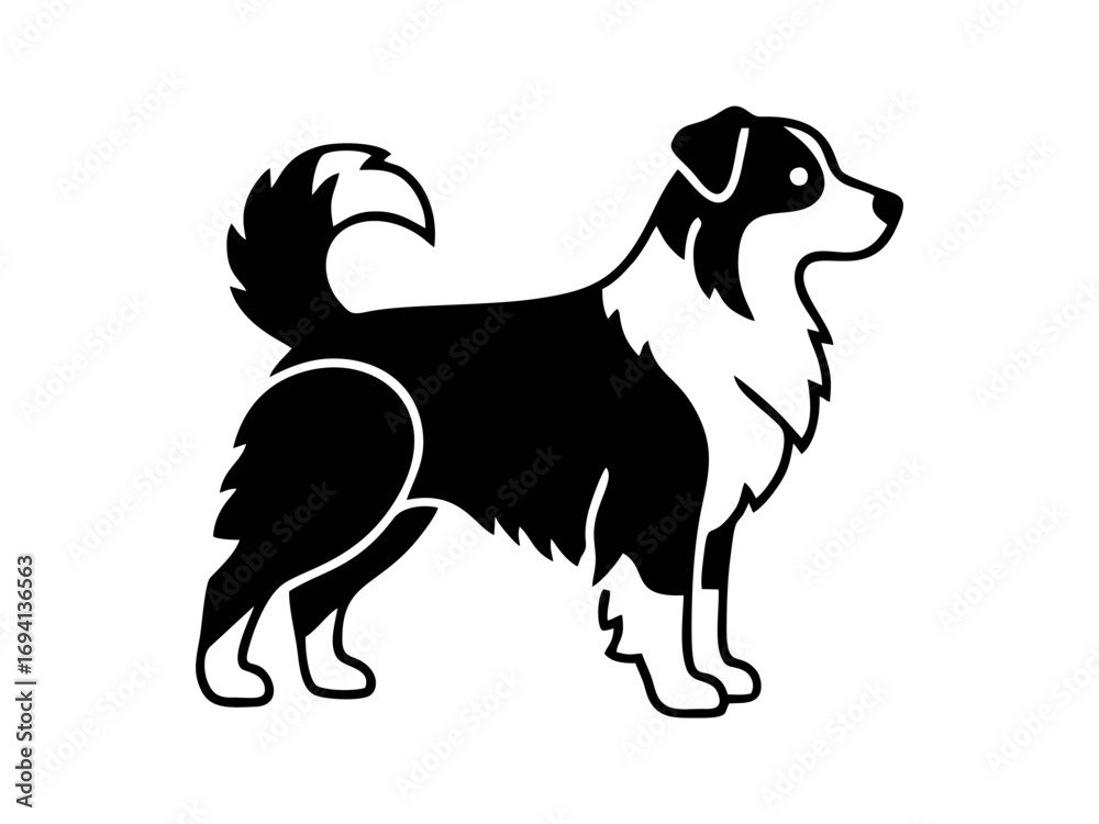 Canvas Prints vector isolated one single aussie australian shepherd dog head portrait front view black and white b