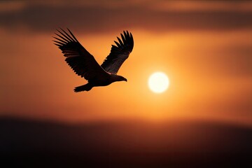 Majestic eagle soaring at sunrise (1)