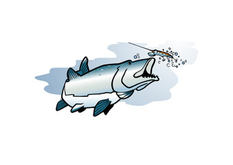 Pike biting on an angler's lure