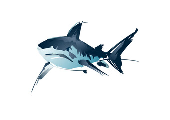 Shark drawn in graphic style