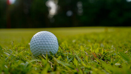 Golf ball is on a green lawn in a beautiful golf course with morning sunshine.