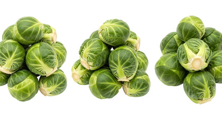 Isolated Brussel Sprouts