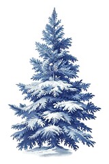 Fototapeta premium Antique of christmas tree drawing sketch plant.