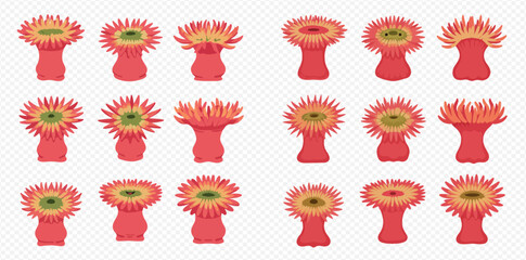 A collection of illustrated red sea anemones in various shapes and poses, isolated on a transparent background.