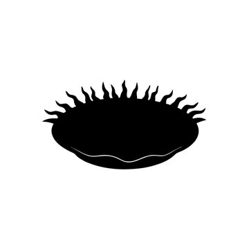 Silhouette of a venus flytrap on transparent background