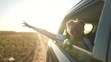 Dog looks out car window while woman stretches hand to sunset. Ride filled with joy. Travel brings freedom on dusty road. Dog enjoys every ride. Woman smiles on ride. Sunset road scene full of joy. - Powered by Adobe