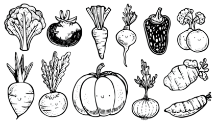 A set of hand-drawn vegetables in white line art on black background.