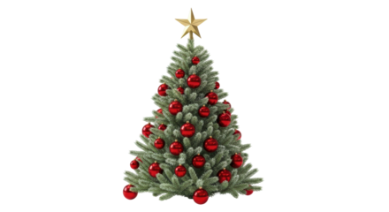 Isolated Christmas Tree