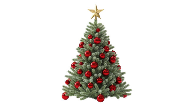 Isolated Christmas Tree