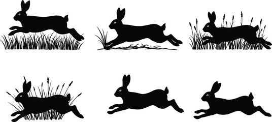 Silhouette of jumping rabbits in grass, wildlife animals, nature scene, black and white illustration, fast moving hares, outdoor wildlife, animal movement, freedom, rural life.