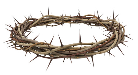 Fototapeta premium Isolated Crown of Thorns
