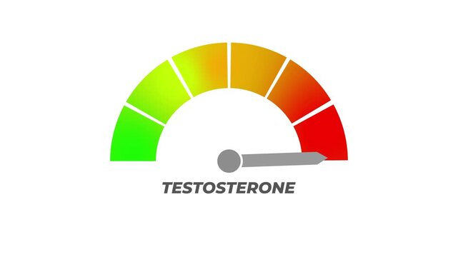 Animated digital testosterone gauge meter presentation, moving from low to healthy normal level, vitality concept, health monitoring, animated indicator, medical data visualization, Copy space. - Powered by Adobe