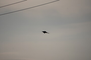 A kite is flying in the partially cloudy sky 