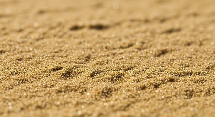 Golden Beach Sand Texture Background