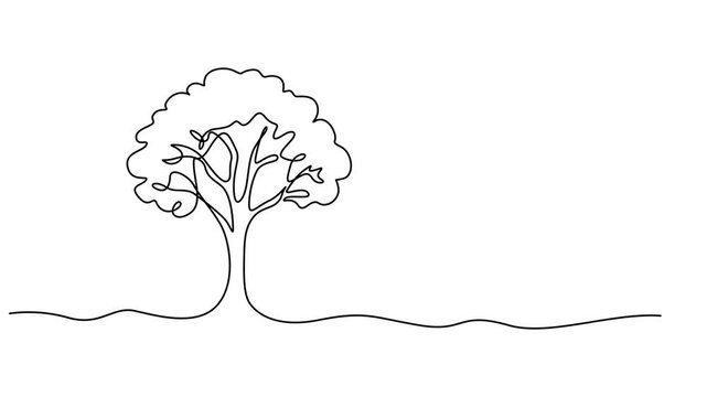 Tree sketch, one line drawing animation. Video clip with alpha channel, Animation of one line drawing tree silhouette. Continuous line self draw animated. Full length motion. Continuous video with one