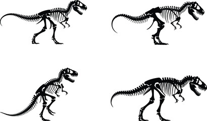 Collection of dinosaur skeleton silhouettes, Tyrannosaurus rex fossil bones vector illustration,   © MdShahin