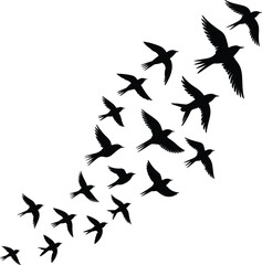 Silhouette illustration of flying birds flock in dynamic formation, migration, freedom, nature wildlife scene, black vector design for background, decoration, creative concept