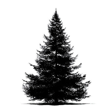 Detailed white outline of a festive Christmas tree against a black backdrop.