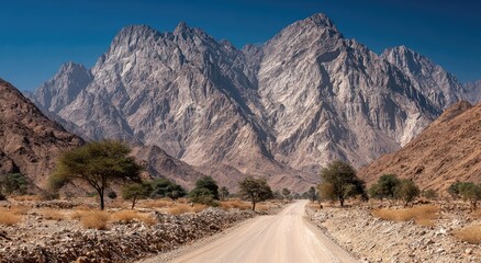 Mountainous desert road, pale peaks, sparse vegetation