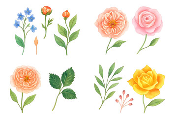 Watercolor rose flowers set