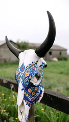 Decorated cow skull on a fence post © mahadewi